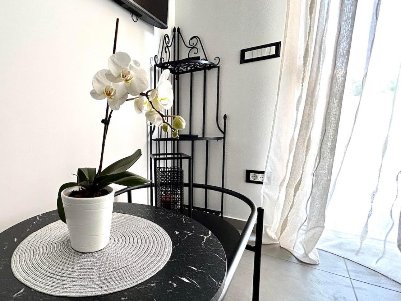 Apartment Diva Zambratija  Eksteriør billede
